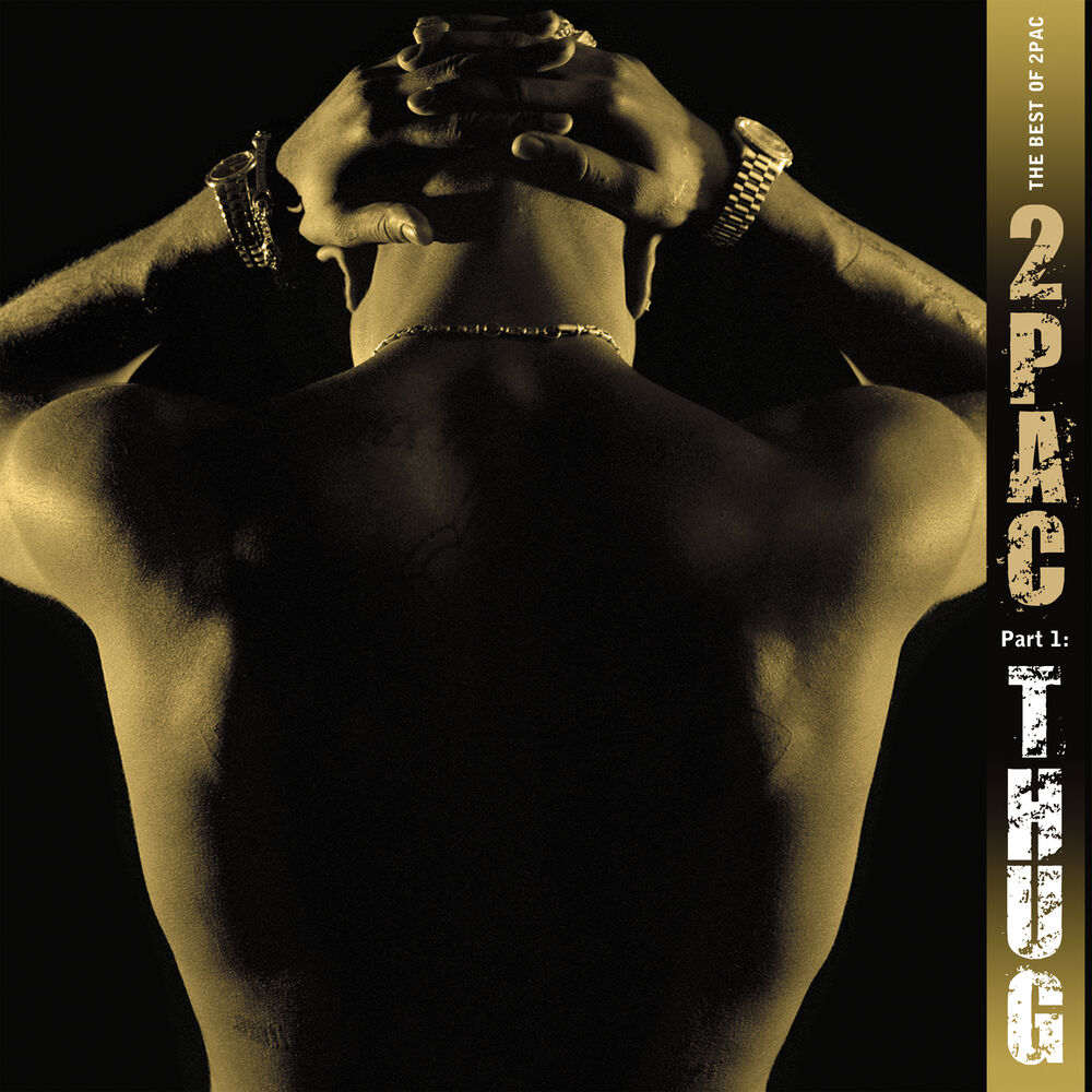 2Pac: The Best Of 2Pac - Pt. 1: Thug