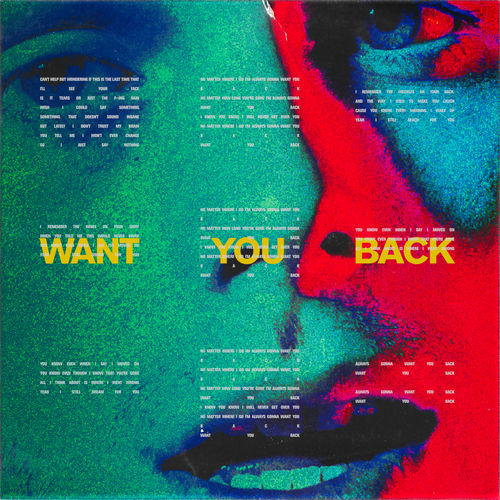 5 Seconds Of Summer: Want You Back