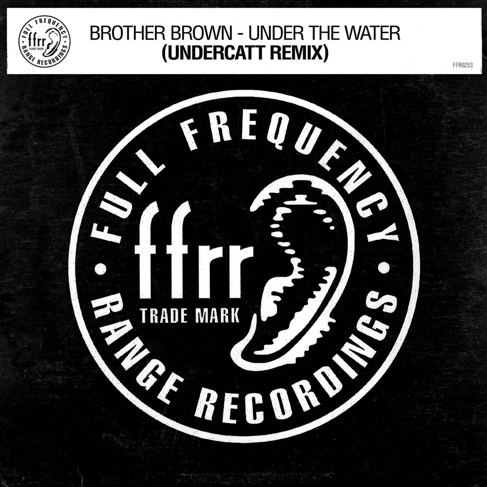 Brother Brown: Under The Water