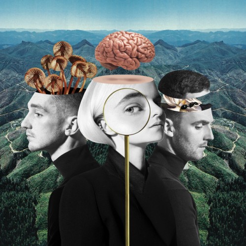 CLEAN BANDIT: What Is Love?