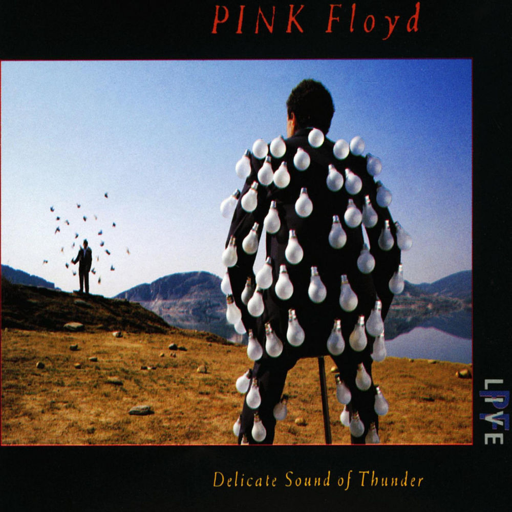 PINK FLOYD: Delicate Sound Of Thunder