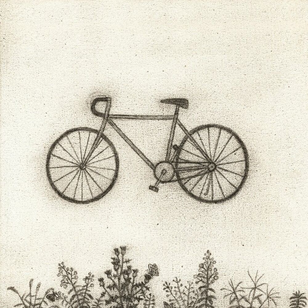 RM: Bicycle