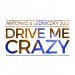 ANTONYO & LEDNICZKY JULI: Drive Me Crazy