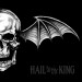 Avenged Sevenfold: Hail To The King