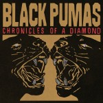 Black Pumas: Chronicles Of A Diamond