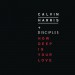 Calvin Harris + Disciples: How Deep Is Your Love