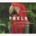 Calvin Harris feat. Pharrell Williams, Katy Perry & Big Sean: Feels