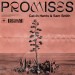 Calvin Harris & Sam Smith: Promises