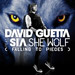 David Guetta feat. Sia: She Wolf (Falling To Pieces)