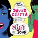 DAVID GUETTA feat. SKYLAR GREY: Shot Me Down