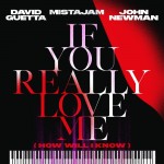 DAVID GUETTA x MISTAJAM x JOHN NEWMAN: If You Really Love Me (How Will I Know)