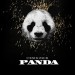 DESIIGNER: Panda