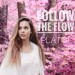 FOLLOW THE FLOW: Plátói