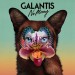 Galantis: No Money