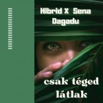 Hibrid x Sena Dagadu: Csak téged látlak