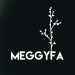 Horváth Tamás: Meggyfa