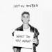 JUSTIN BIEBER: What Do You Mean?