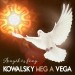 Kowalsky Meg a Vega: Árnyék és fény