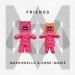 Marshmello & Anne-Marie: Friends