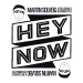 Martin Solveig & The Cataracs feat. Kyle: Hey Now