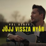 Pál Dénes: Jöjj vissza nyár Pál Dénes: Jöjj vissza nyár
