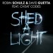 ROBIN SCHULZ & DAVID GUETTA feat. CHEAT CODES: Shed A Light