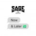 SAGE THE GEMINI: Now And Later