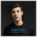 Shawn Mendes: Stitches