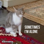 The Kiffness: Sometimes I'm Alone (Lonely Cat)