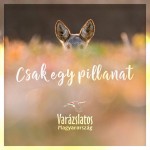 Varázslatos Magyarország: Csak egy pillanat