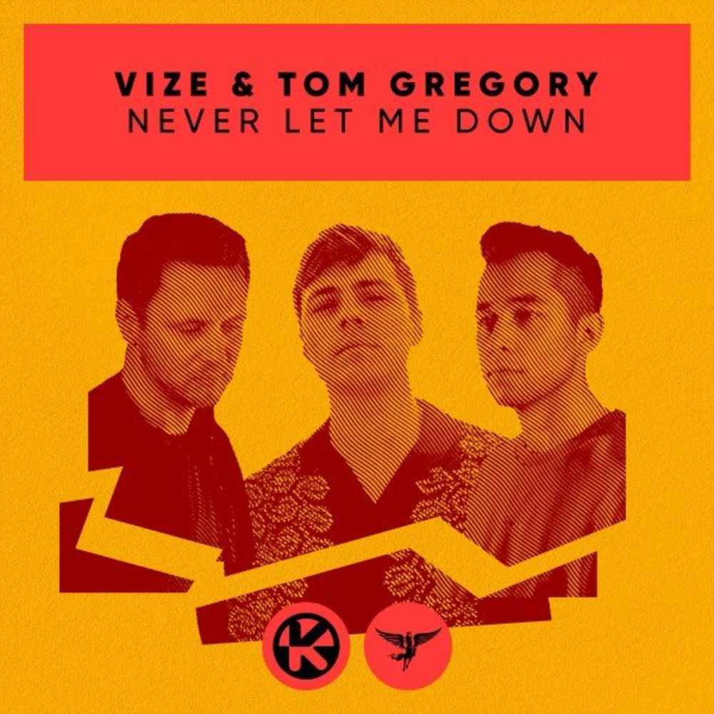 Vize & Tom Gregory: Never Let Me Down