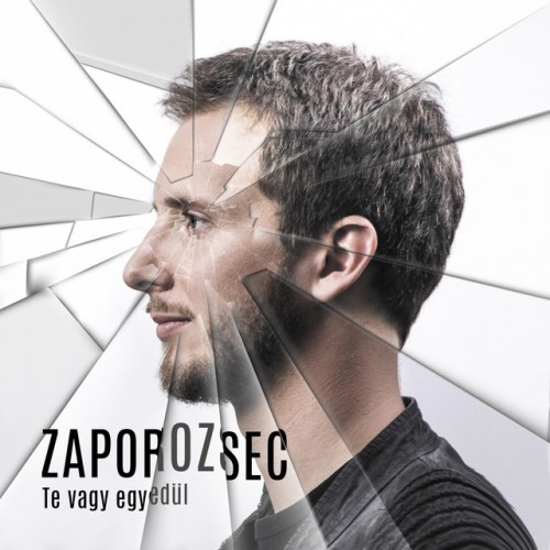 Zaporozsec: Te vagy egyedül